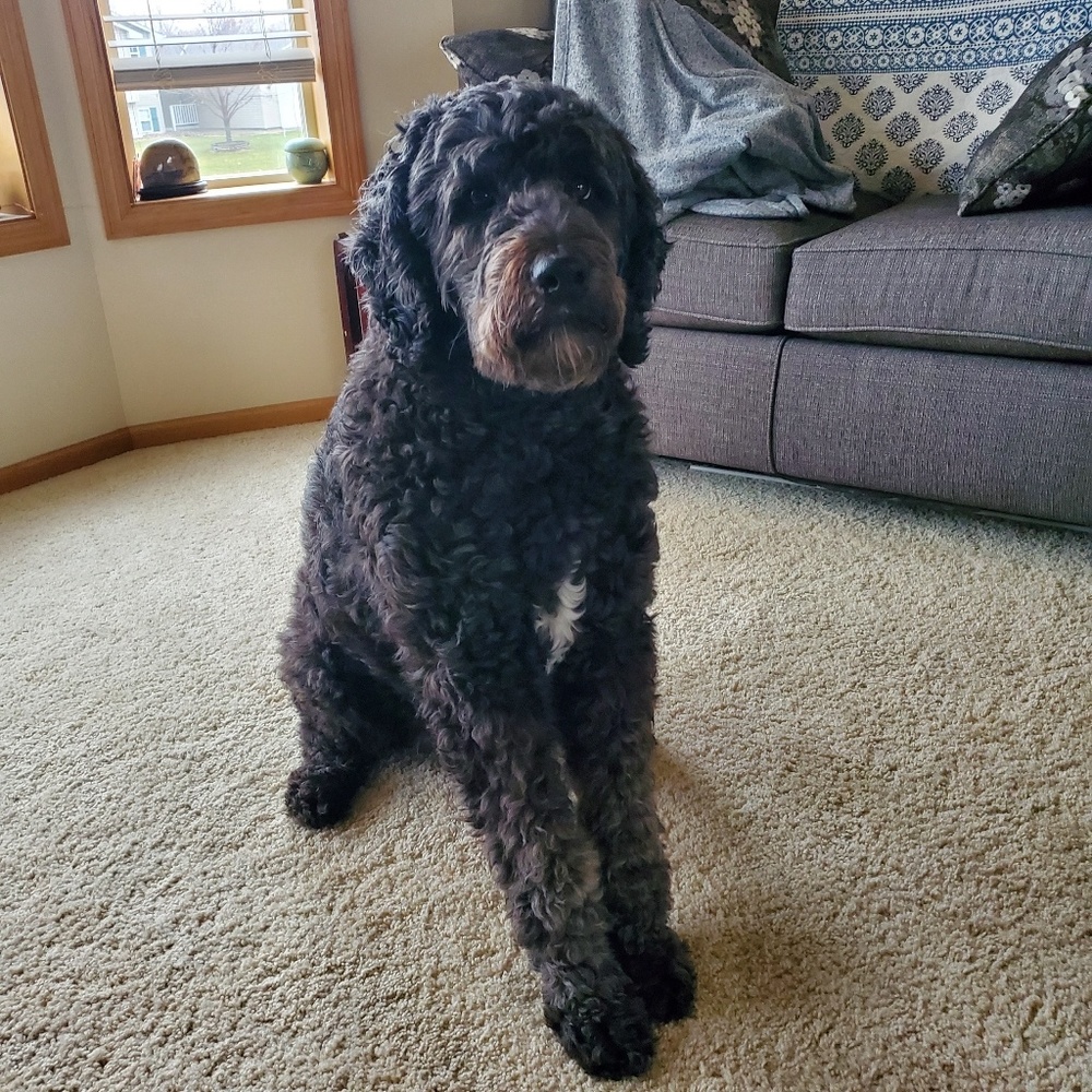 Meet your Posher, Berit